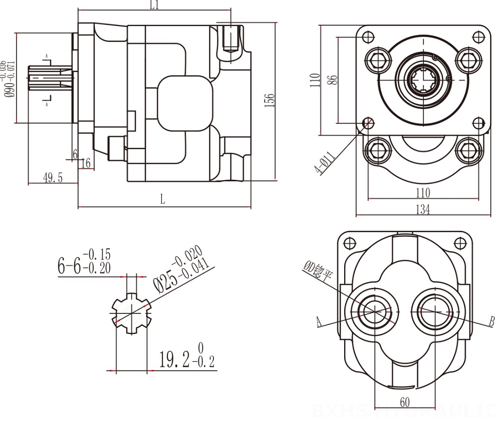 CBHS-F550 50 cc/rev 유압 기어 펌프 drawing image