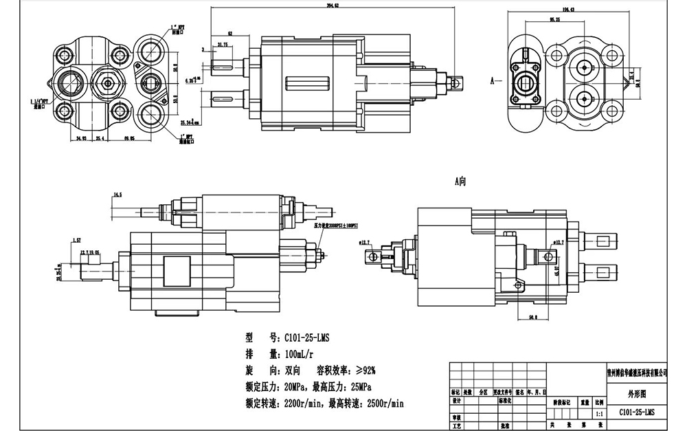 C102 지방전 112 cc/오른 유압 기어 펌프 drawing image