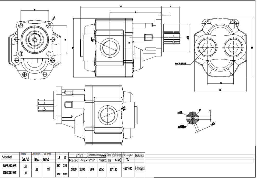 CBHST1-ISO-110 지방전 110 cc/오른 유압 기어 펌프 drawing image