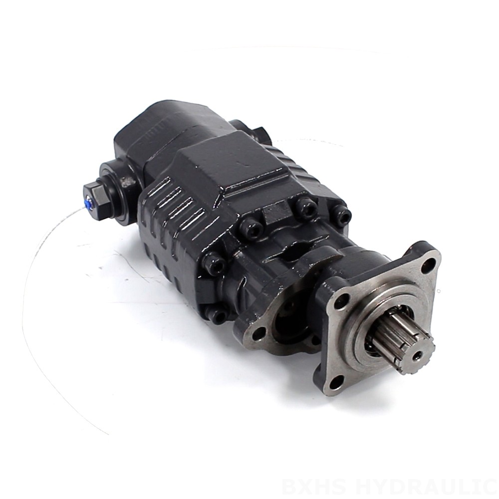 BF110A-ZF1 지방전 110 cc/오른 20 MPa (2900 psi) 유압 기어 펌프 image