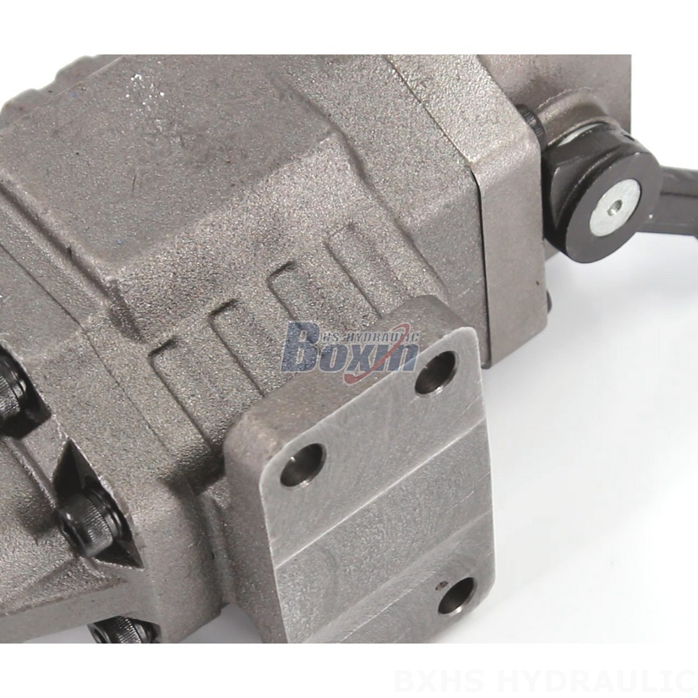High Performance BF110M Hydraulic Gear Pump for Industrial Applications detail image