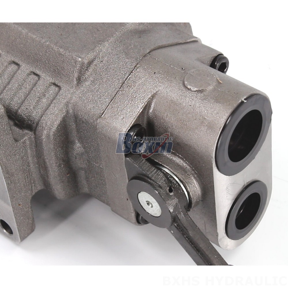BF110M Hydraulic Gear Pump: Robust 20 MPa (2900 psi) Design detail image