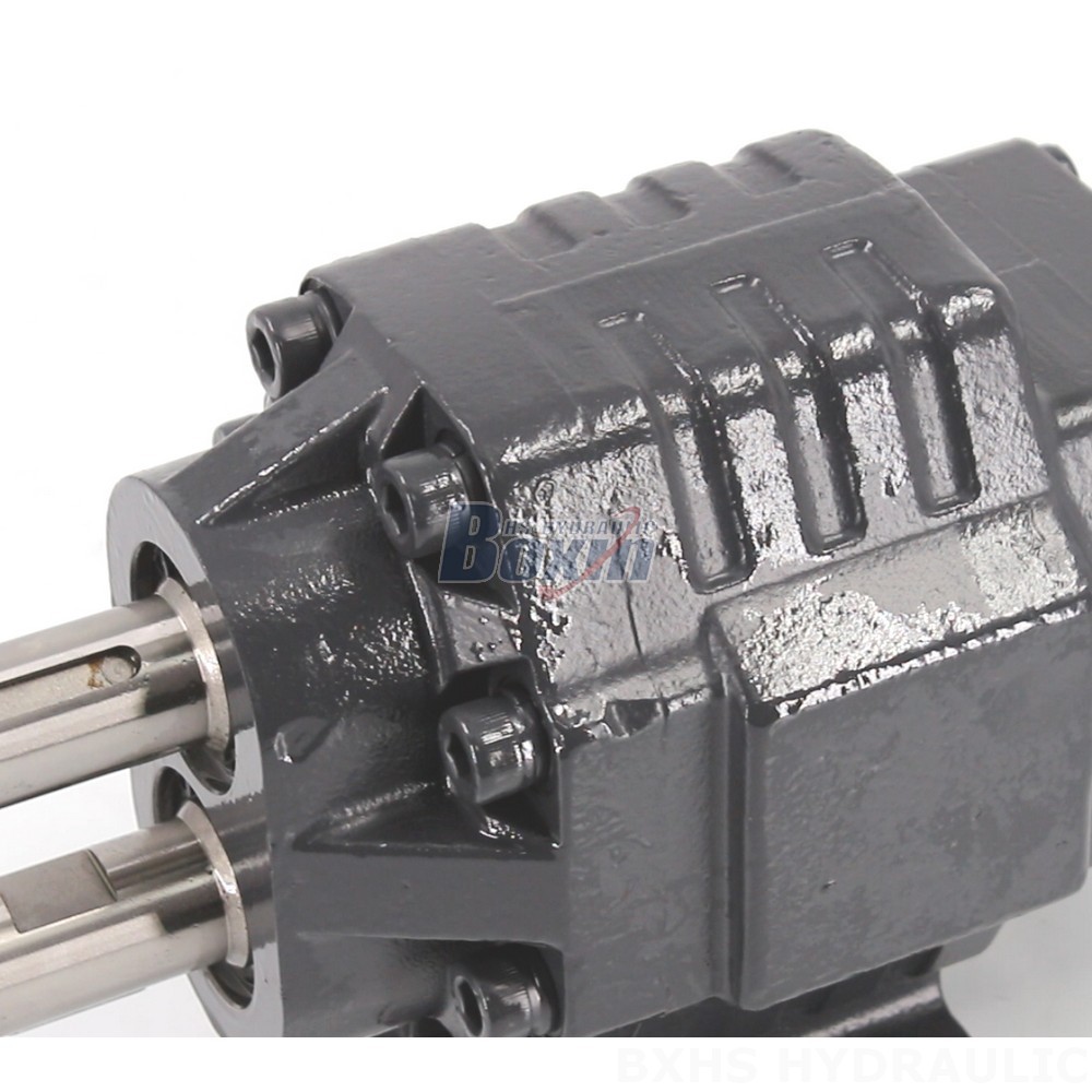 BF62M 20 MPa (2900 psi) Hydraulic Gear Pump - Industrial Performance detail image