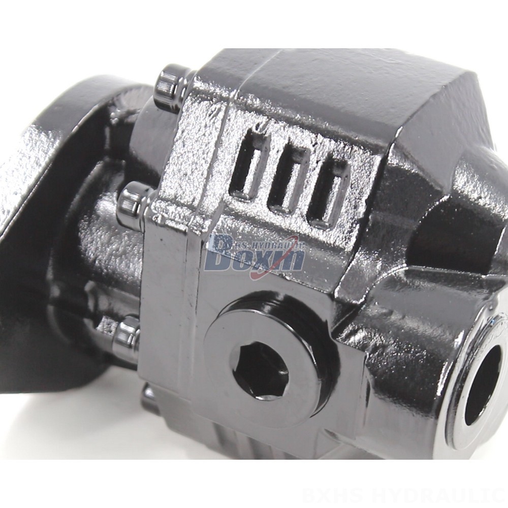 Industrial Hydraulic Gear Pump CBHL-2000 (50 cc/rev) - Wholesale Prices detail image