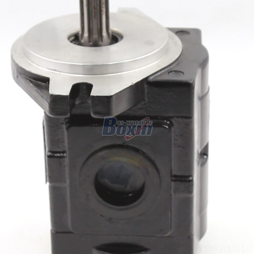 Direct from the Manufacturer: 20 cc/rev Hydraulic Gear Pumps - High Performance & Reliability detail image