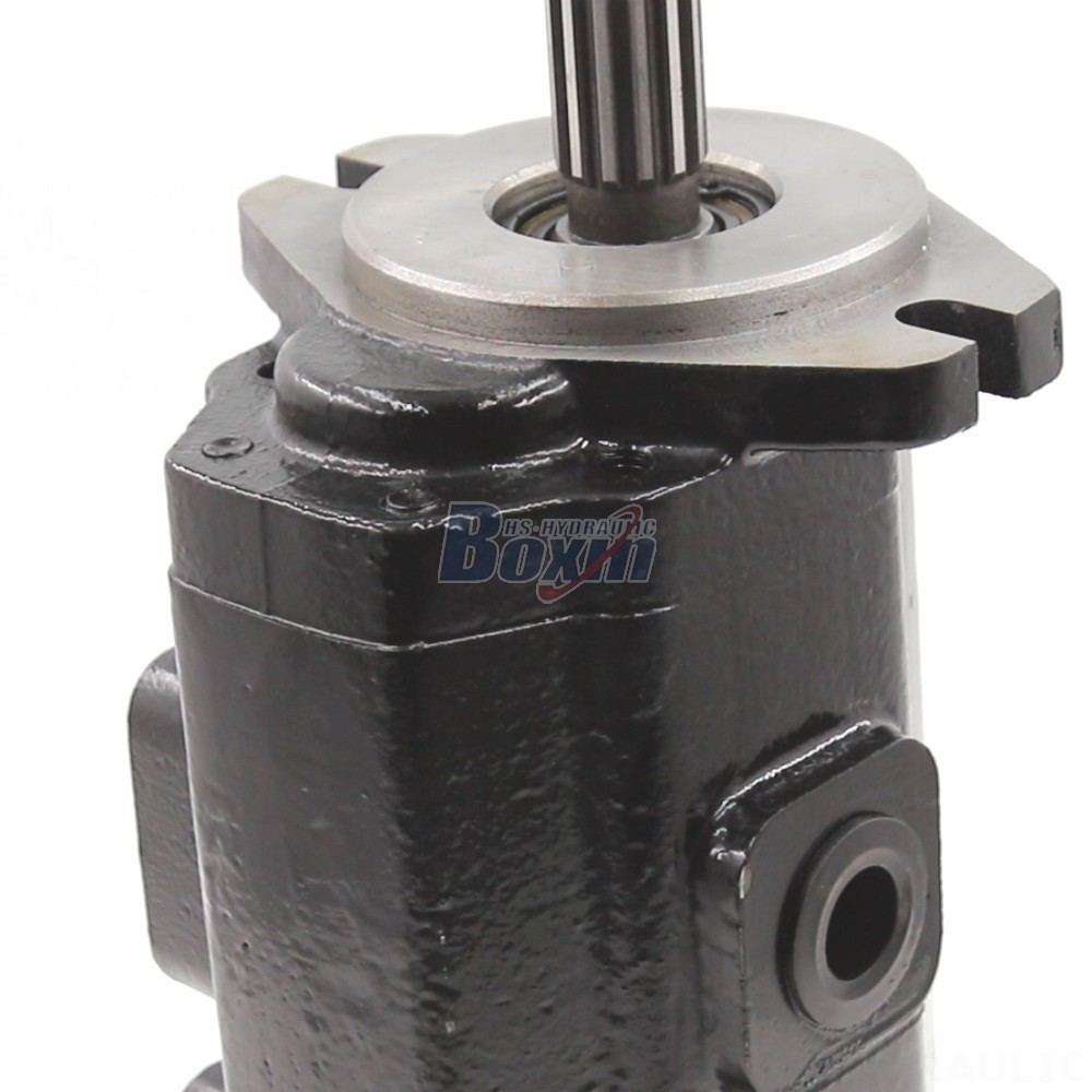 Direct from the Source: 40 cc/rev Hydraulic Gear Pumps - Factory Pricing detail image