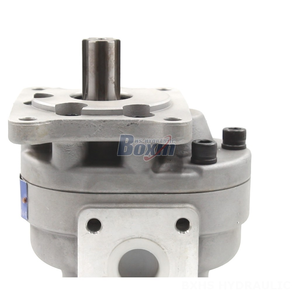 Advanced Hydraulic Gear Pumps - CBHS-F550 Series | Wholesale & OEM detail image