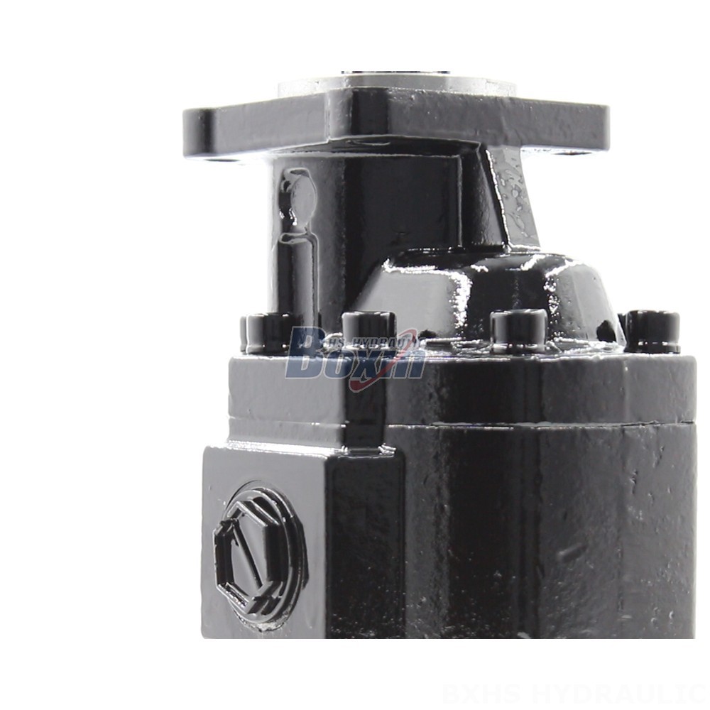 63 cc/rev Hydraulic Gear Pump Manufacturer: Innovation at Your Service detail image