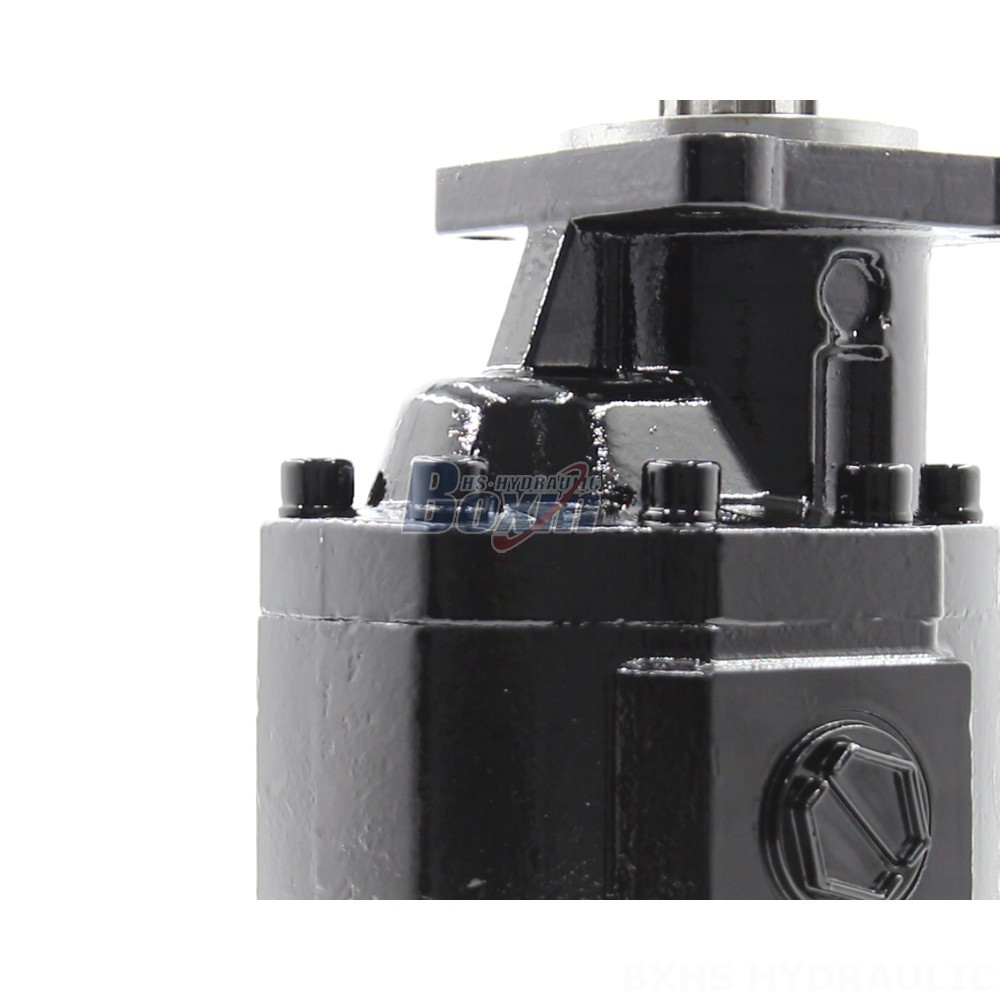 High-Performance Hydraulic Gear Pumps: Optimizing Power and Efficiency detail image