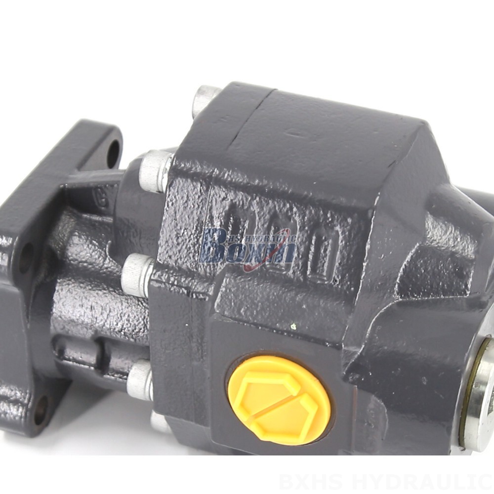 Industrial Hydraulic Gear Pump CBHW-ISO-80-H for Robust Applications detail image