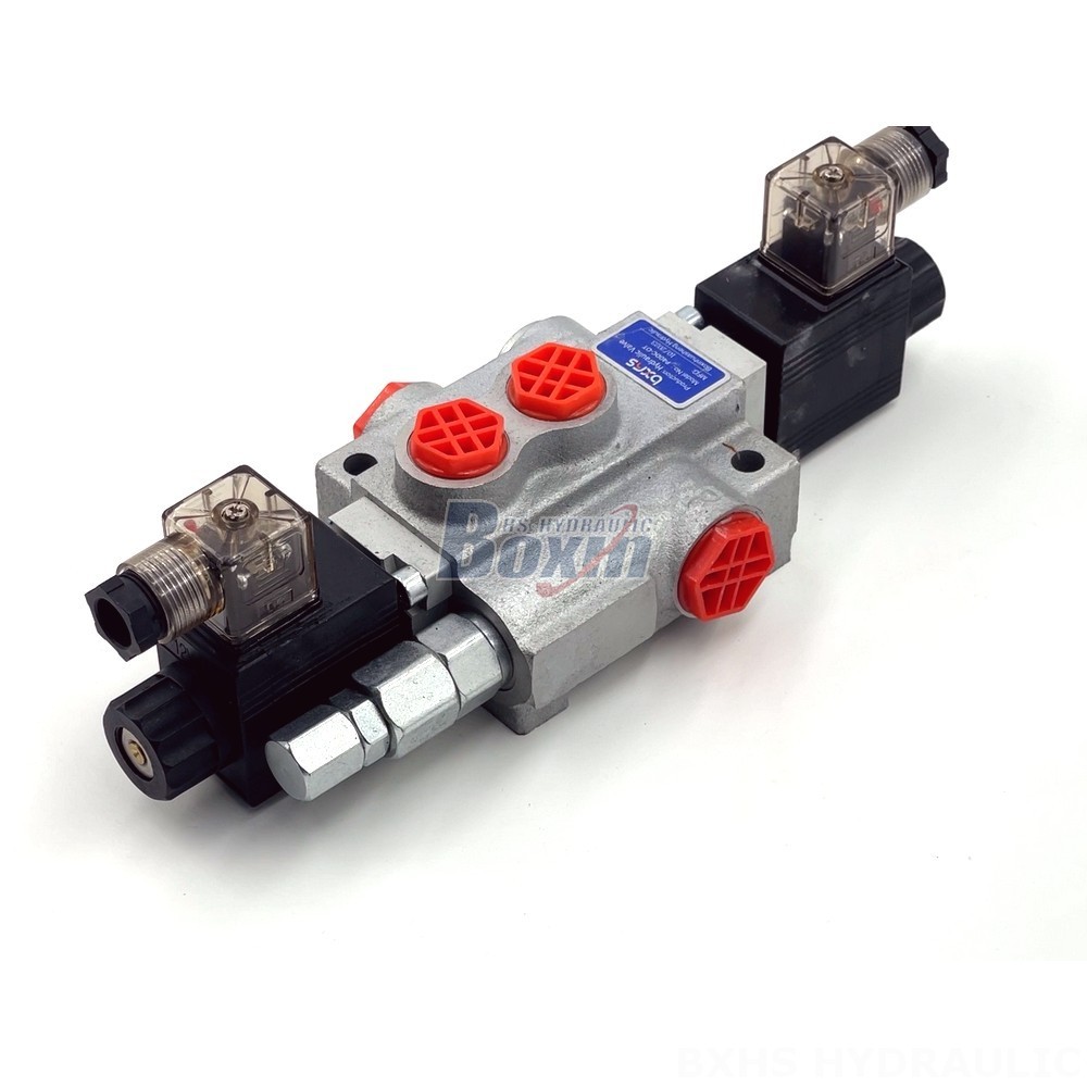 P40-DKL Valves: Direct from the Source for Cost-Effective Solutions detail image