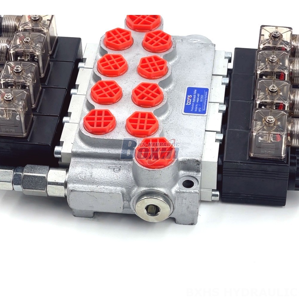 High-Quality Hydraulic Valves: P40-DKL Series | Direct from the Manufacturer detail image