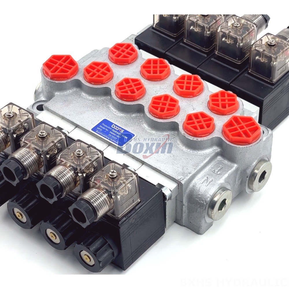 Global Supply Chain: Source P40-DKL Valves from Our Advanced Manufacturing Hubs detail image