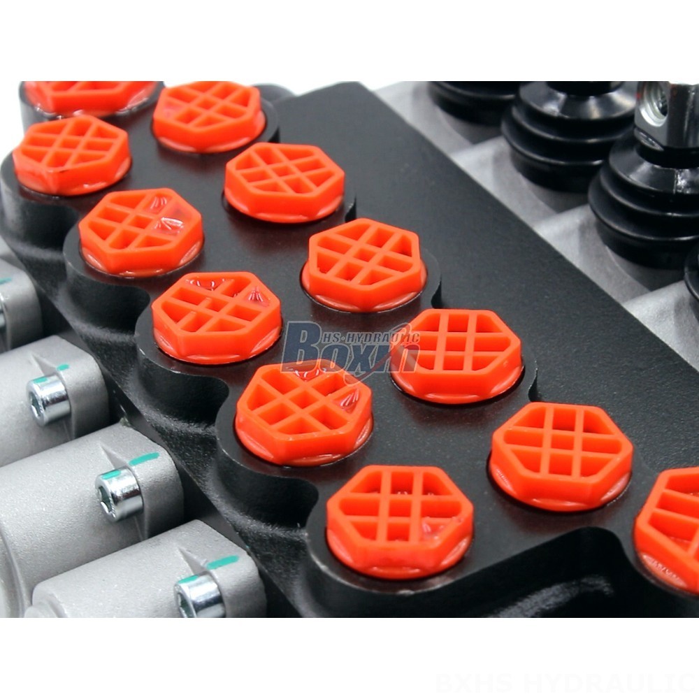 P40-G12-G38 Monoblock Directional Valve | Private Label & OEM Manufacturing detail image