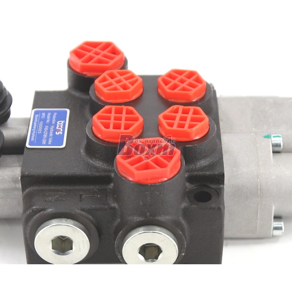 P40-QTW1-QTW Manual 2 Spool Monoblock Directional Valve detail image