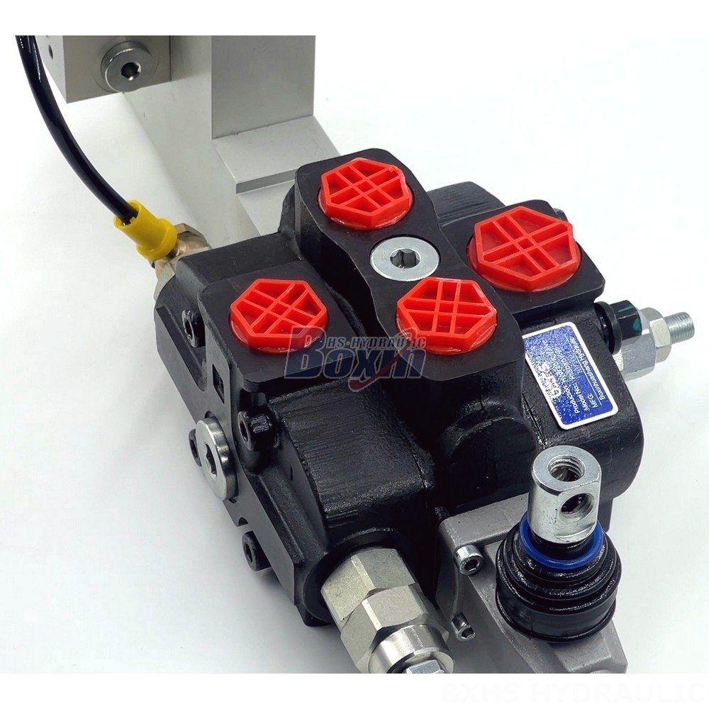 SD8 Hydraulic Valve | Manufacturer & Global Supplier | Customization Available detail image