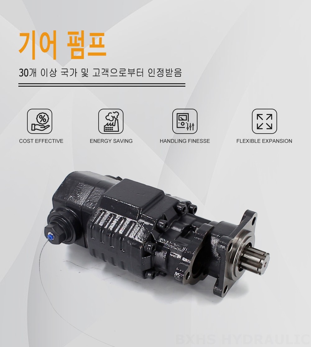 BF110A-ZF1 지방전 110 cc/오른 20 MPa (2900 psi) 유압 기어 펌프