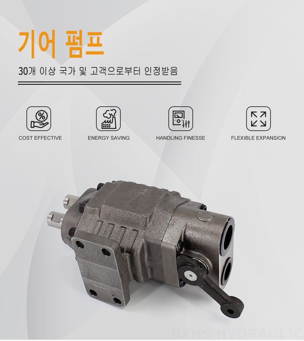 BF110M 지방전 110 cc/오른 20 MPa (2900 psi) 유압 기어 펌프