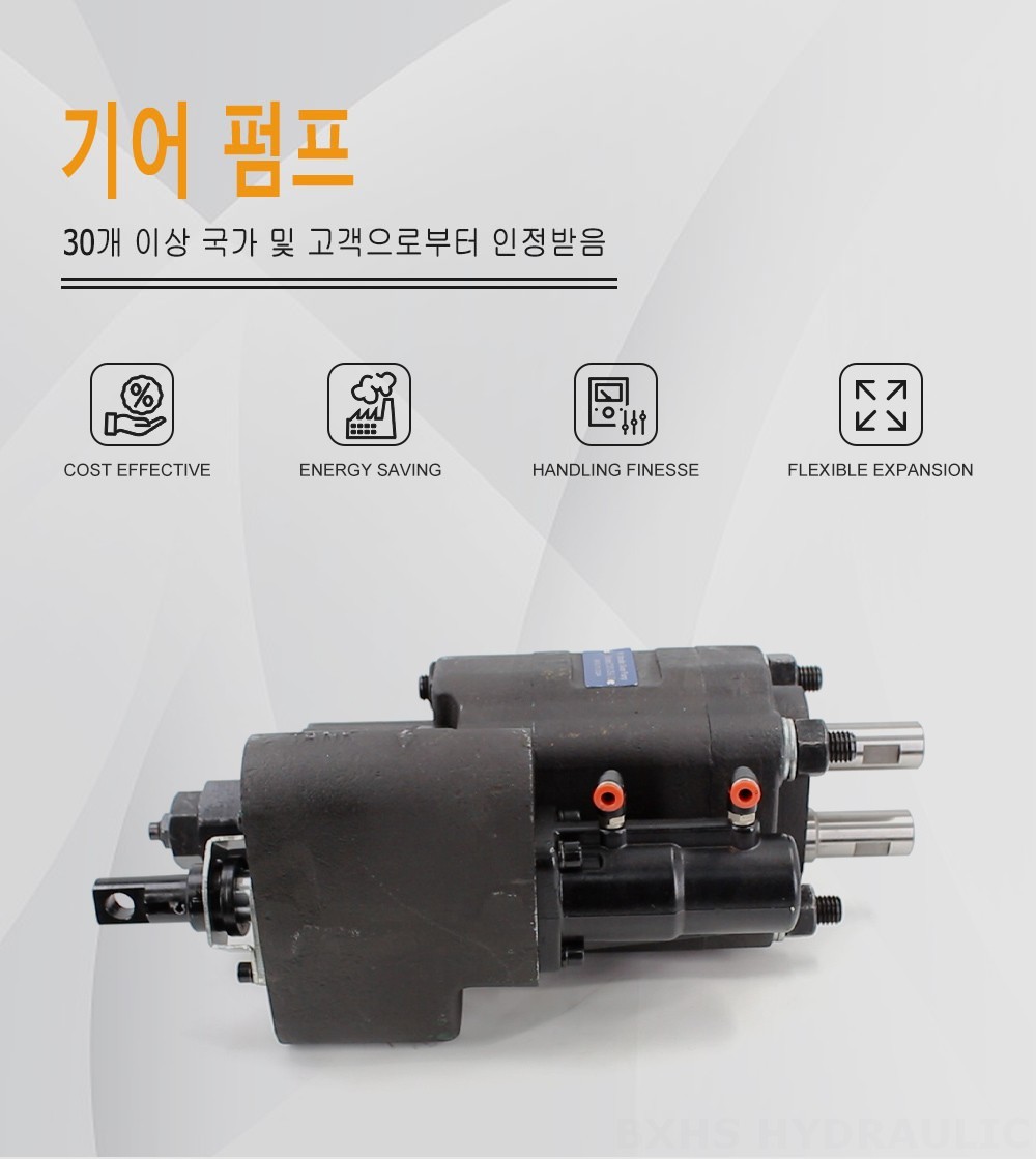 C101-25-LAS 지방전 112 cc/오른 유압 기어 펌프