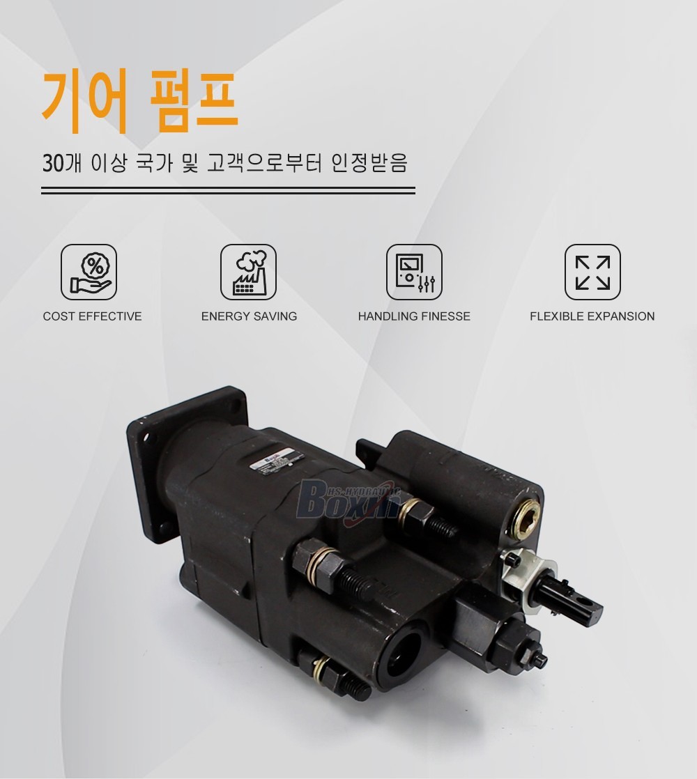 C102-LMS-25 100 cc/회전 20 MPa (2900 psi) 유압 기어 펌프