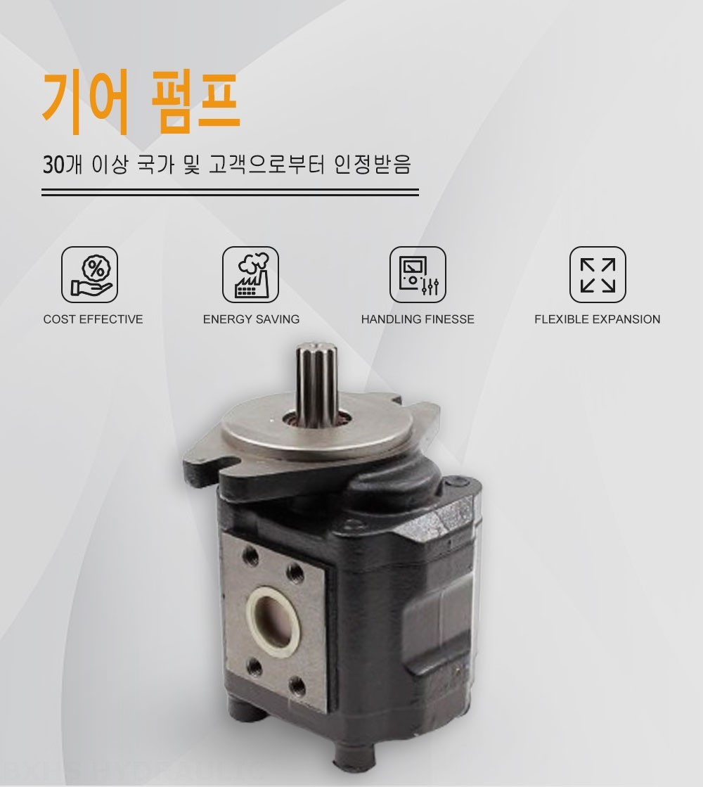 CBHS-F425 25 cc/rev 유압 기어 펌프