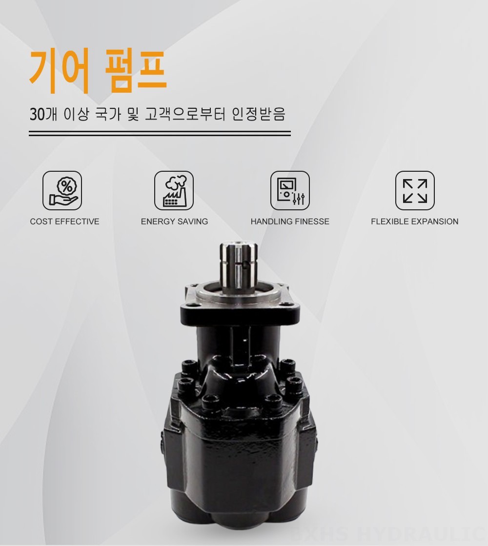 CBHST1-ISO-110 지방전 110 cc/오른 유압 기어 펌프