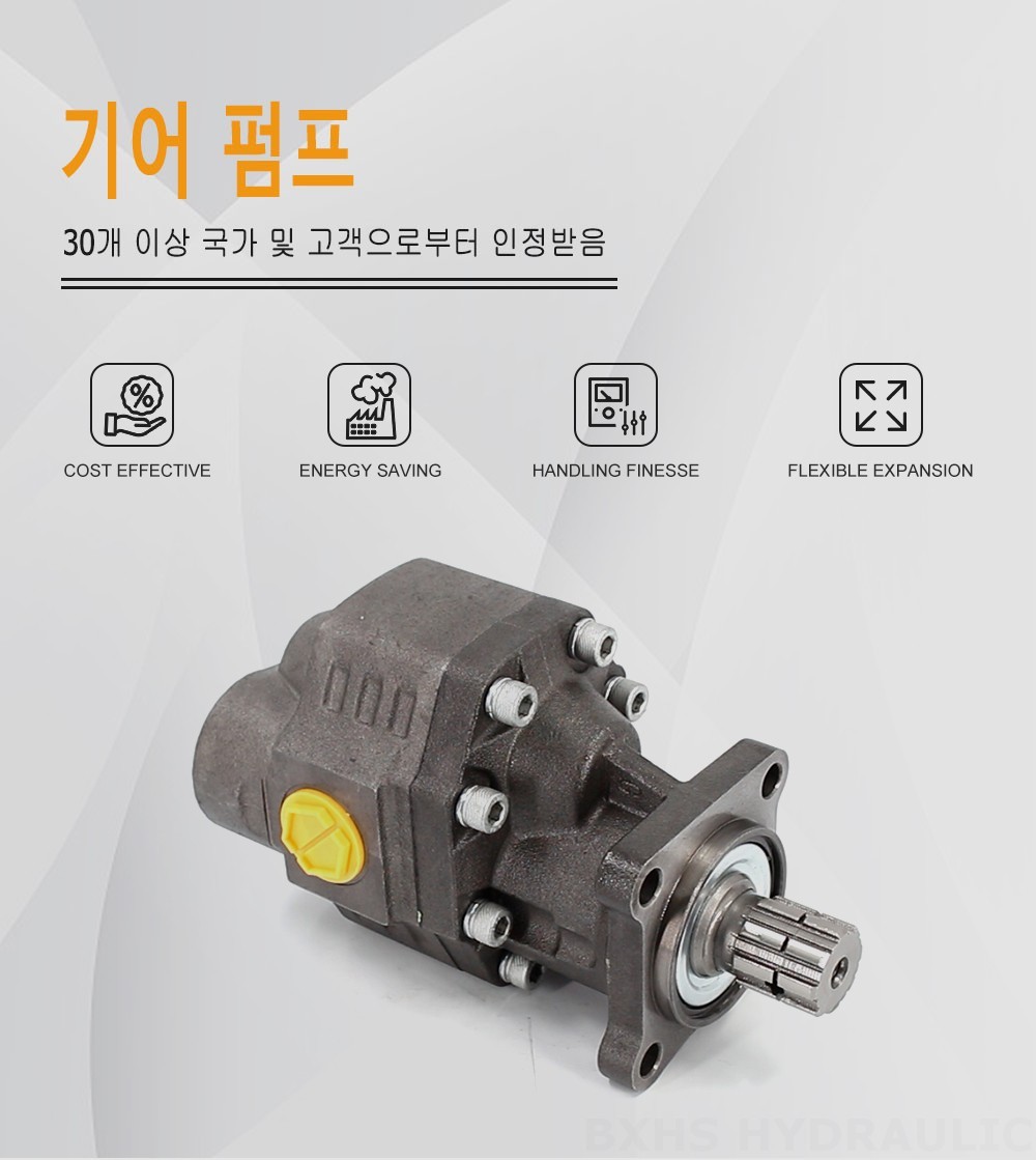CBHW-ISO-100-Y 100 cc/rev 22 MPa (3190 psi) 유압 기어 펌프