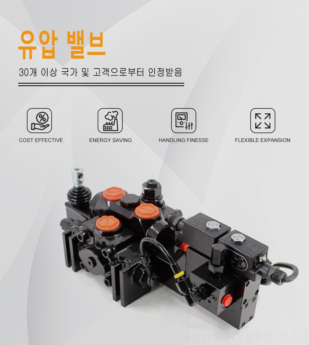 DCV200-FB 전기 유압 1 스풀 구역 방향 밸브