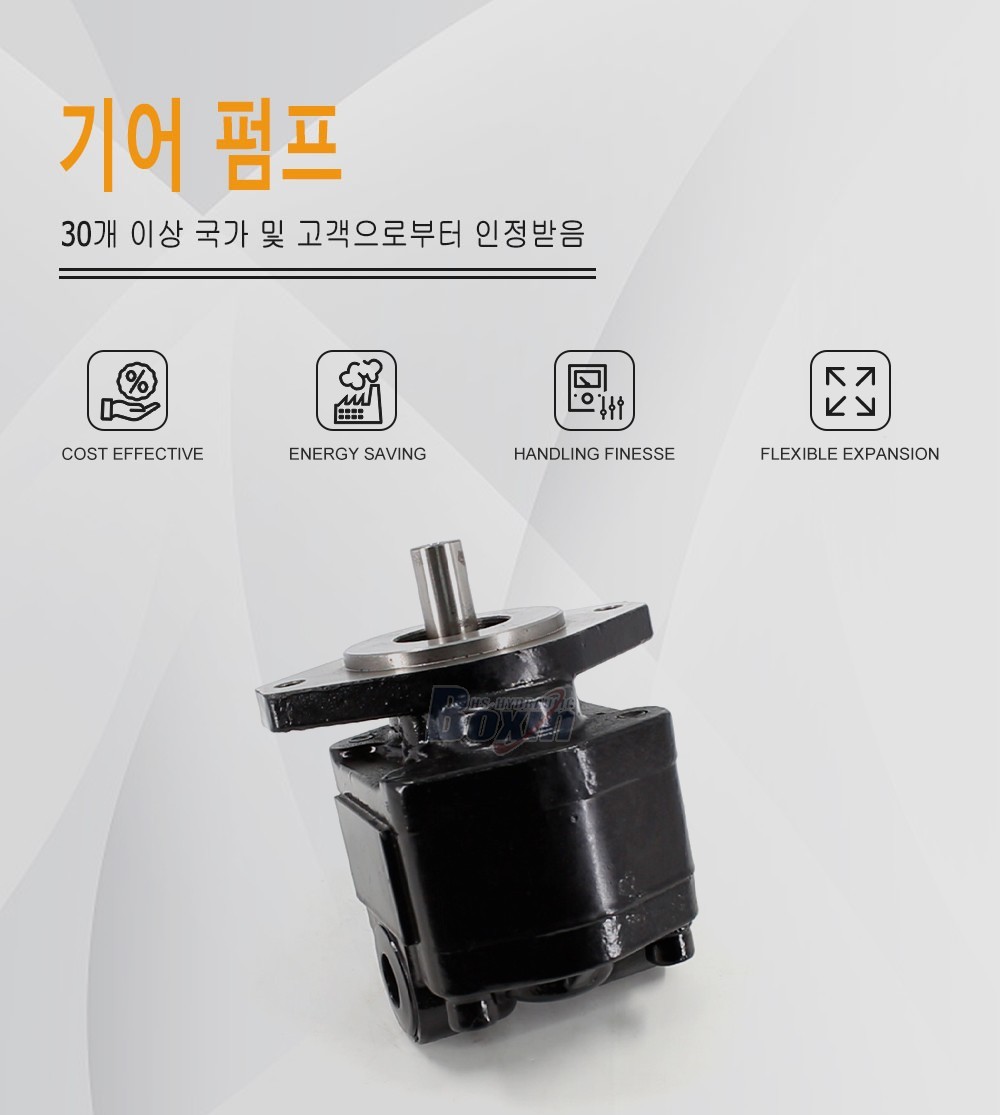 CBHS-FC25 25 cc/회전 20 MPa (2900 psi) 유압 기어 펌프