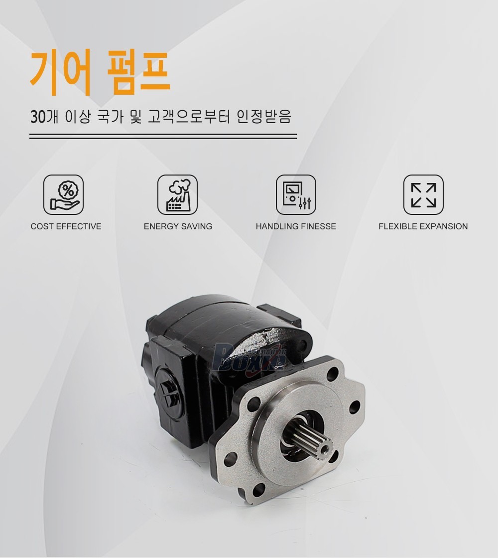 P21A646JEAL20-25 64.6 cc/rev Hydraulic Gear Pump for Industrial Machinery