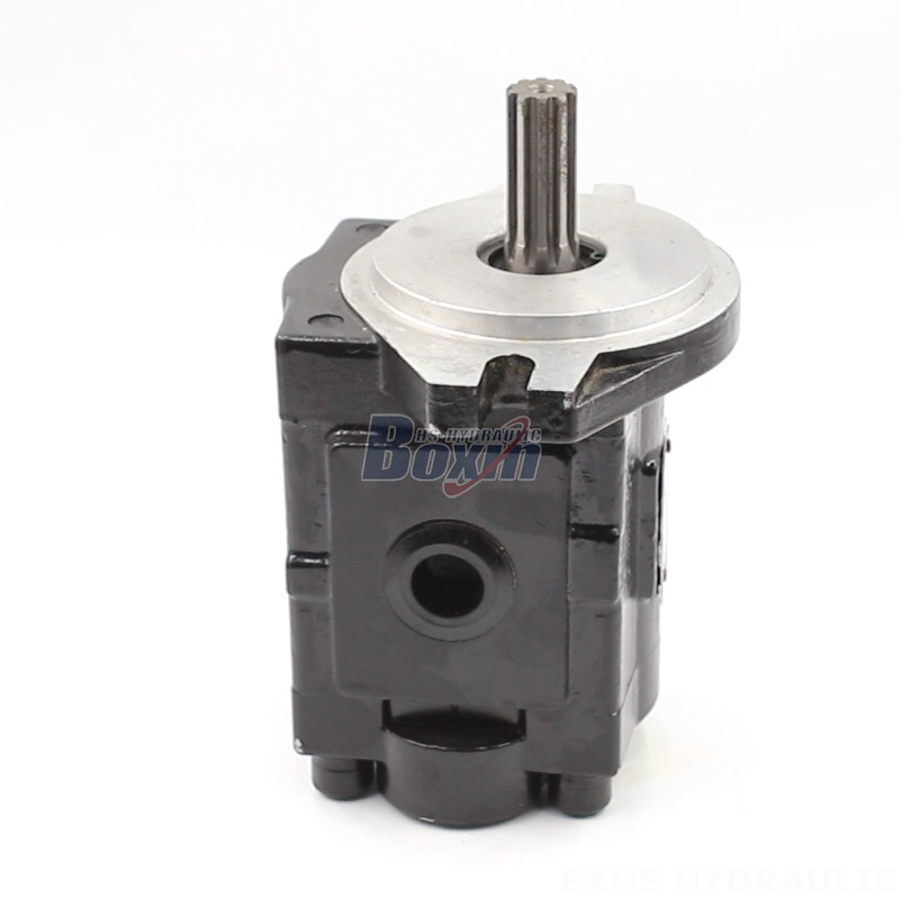 Private Label & OEM Manufacturing: 20 cc/rev Hydraulic Gear Pumps for Your Brand main image