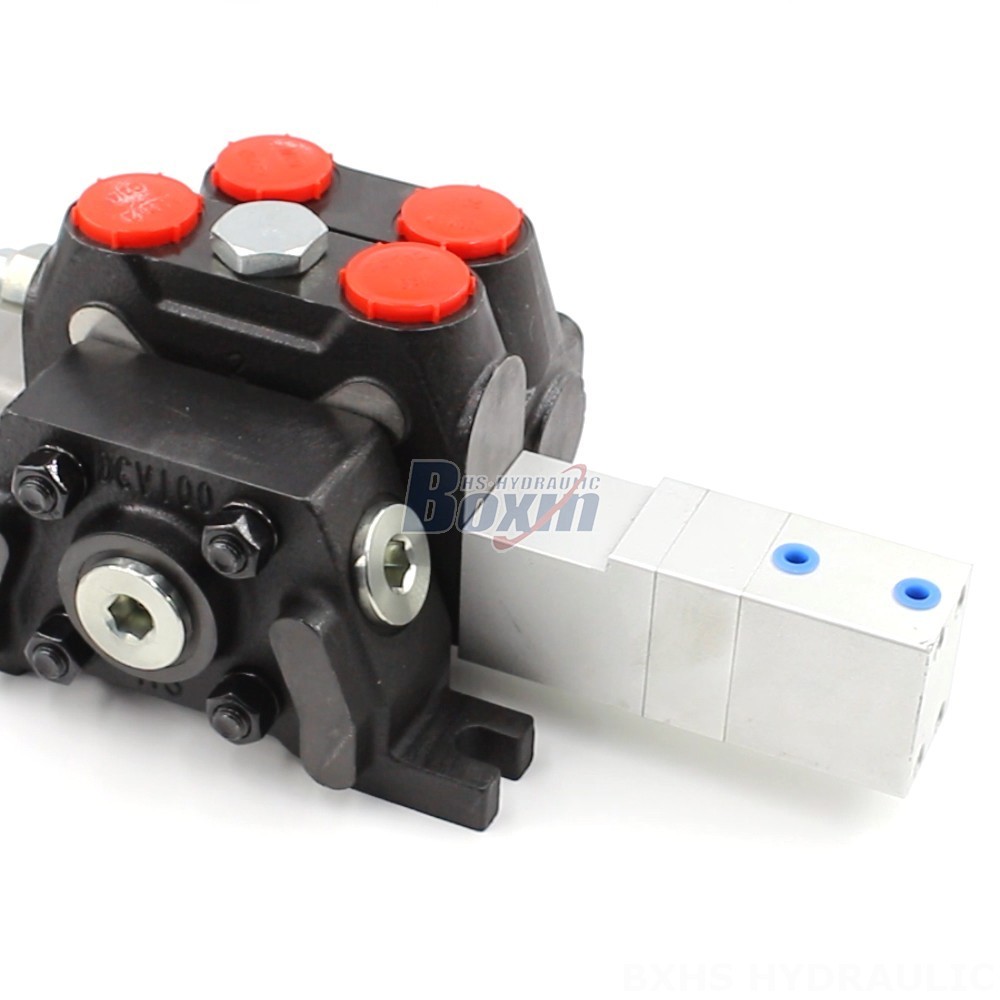 Bespoke Pneumatic Solutions: Customizable DCV100 Directional Control Valves main image