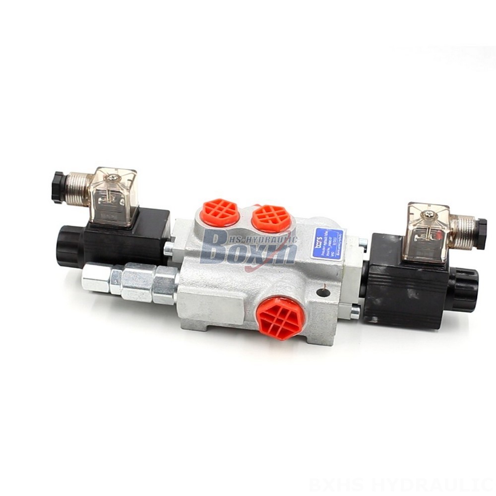 P40-DKL Valves: Direct from the Source for Cost-Effective Solutions cover photo