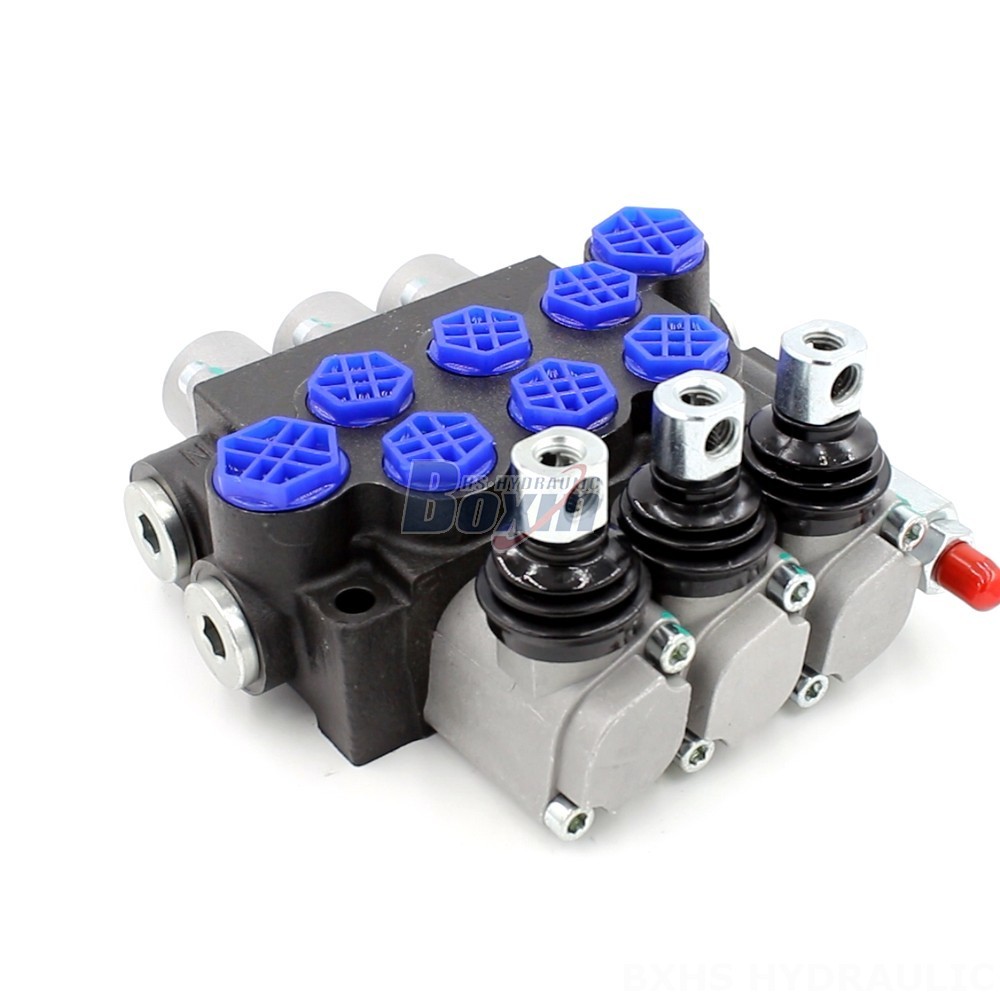 Monoblock Directional Valve P40-G12-G38-OT: Wholesale & OEM main image