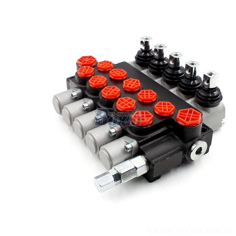 P40-G12-G38 Monoblock Directional Valve | Private Label & OEM Manufacturing cover photo