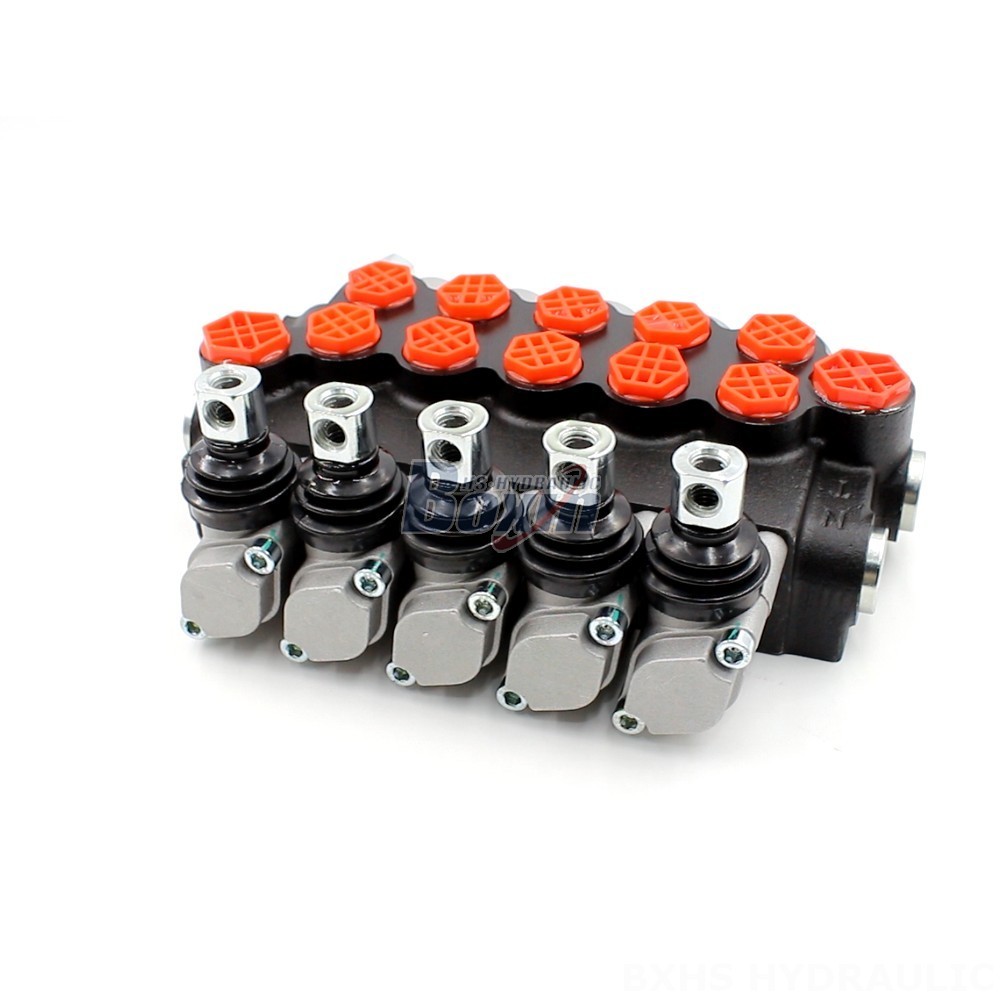Meet Your Unique Needs: Customizable P40-G12-G38 Valves and Hydraulic Solutions main image