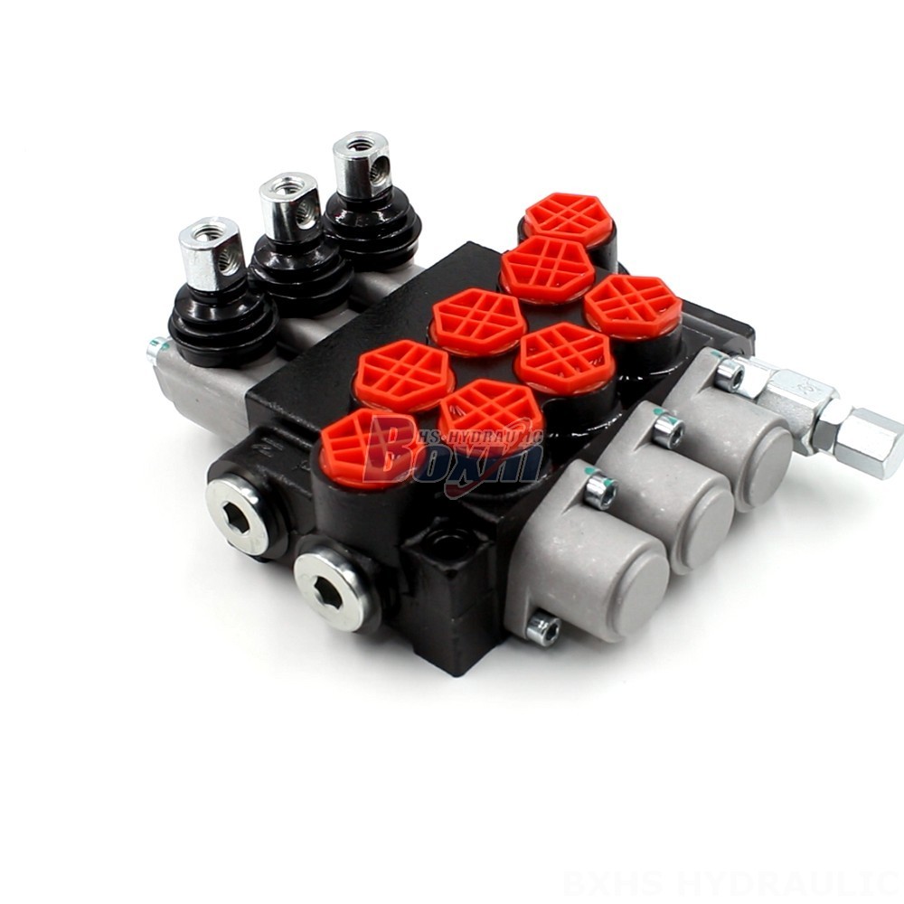 Hydraulic Valve Solutions: P40-G12 Manual Directional Valves | Expert Manufacturer main image