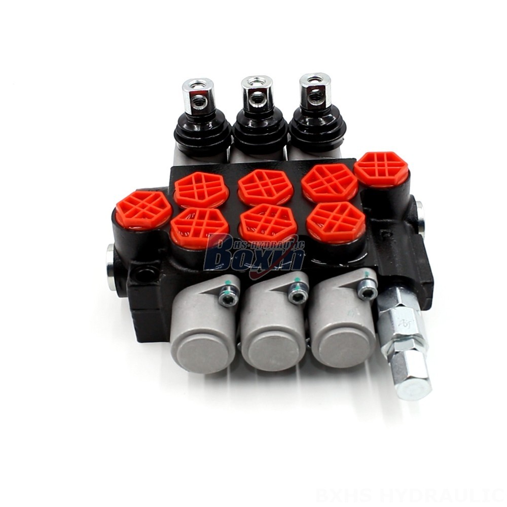 Hydraulic Valve Solutions: P40-G12 Manual Directional Valves | Expert Manufacturer main image