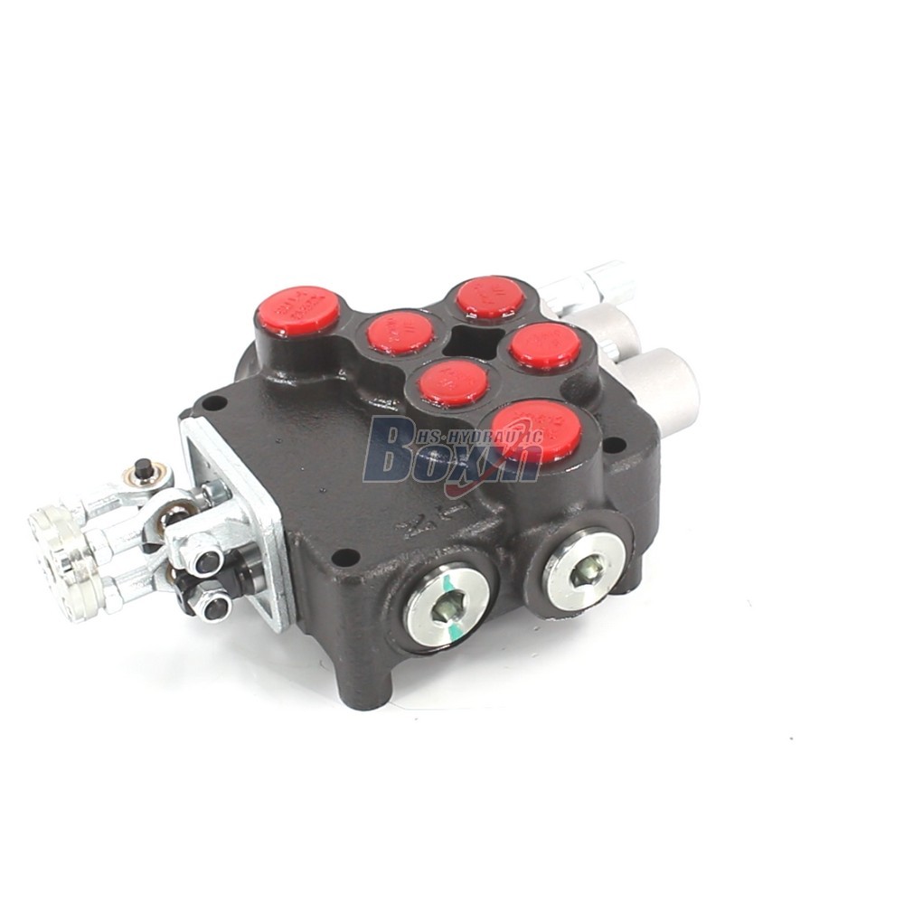 P80-U1-J2OT Monoblock Valve Source Factory for Global Hydraulic Markets main image